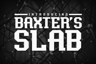 Baxter s Slab: A Bold Typeface for Modern Branding